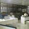 SERVICIOS
